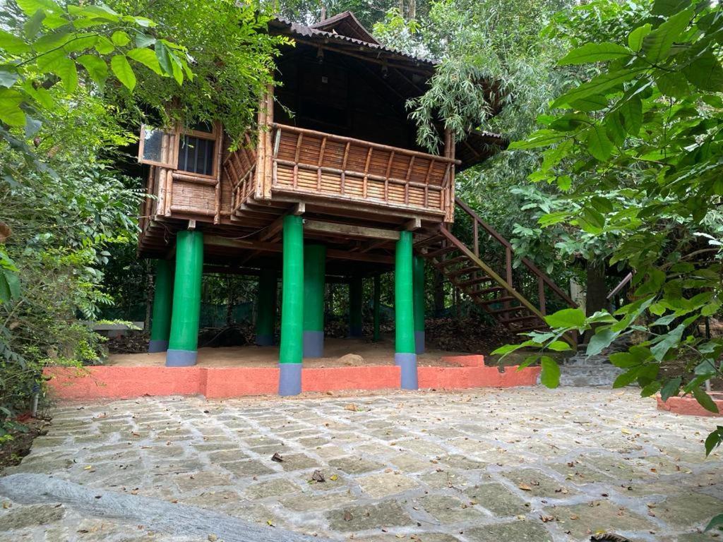 Trekking Trails Eco Stay Калпетта Екстер'єр фото
